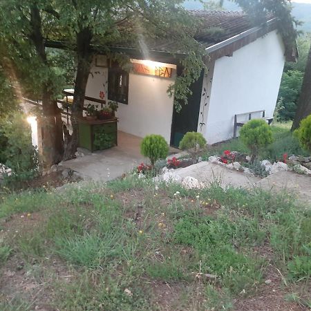 Vila Eva Meduvrsje Екстериор снимка