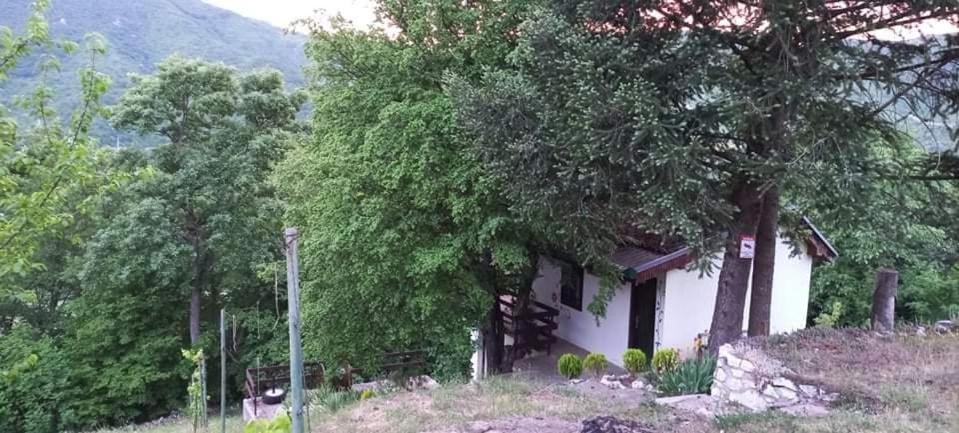 Vila Eva Meduvrsje Екстериор снимка