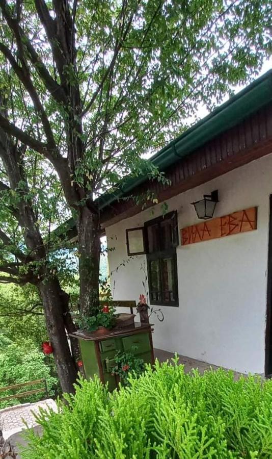 Vila Eva Meduvrsje Екстериор снимка