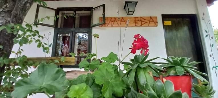 Vila Eva Meduvrsje Екстериор снимка