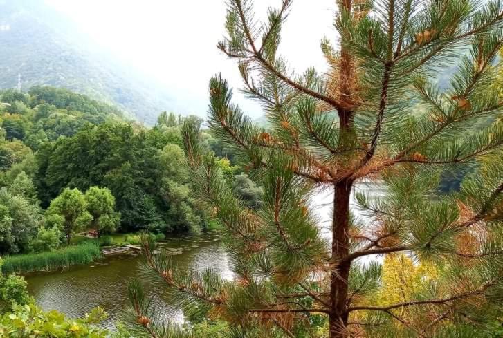Vila Eva Meduvrsje Екстериор снимка